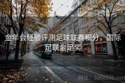 金年会经验评测足球联赛积分，国际足联金足奖