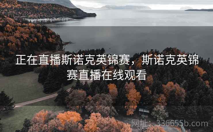 正在直播斯诺克英锦赛，斯诺克英锦赛直播在线观看