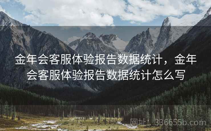 金年会客服体验报告数据统计，金年会客服体验报告数据统计怎么写